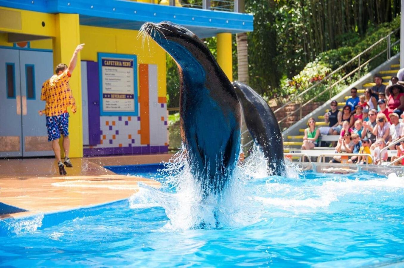 Superb House By Seaworld, Private Pool & Gameroom 샌안토니오 외부 사진